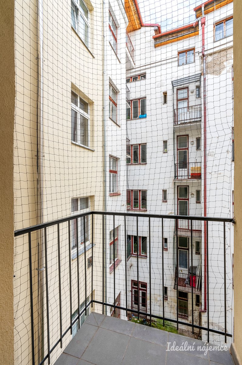 Fotku se nepodařilo načíst.