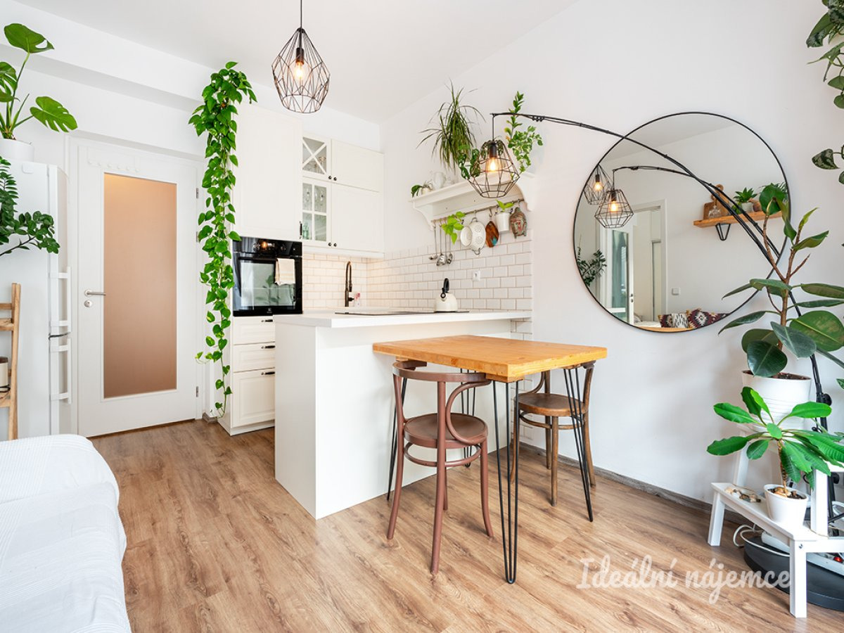 Pronájem bytu 2+kk, Košická, Vršovice, 30.900,- / 48 m2 s parkováním