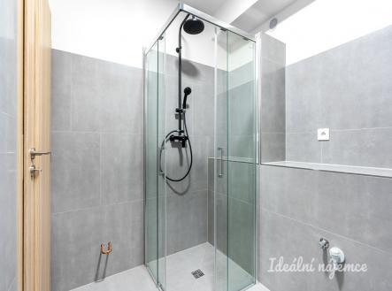 Pronájem bytu, 3+kk, 44 m²