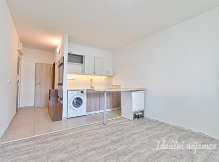 Pronájem bytu, 1+kk, 25 m²