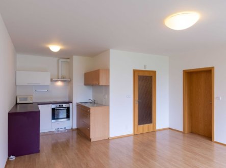 Pronájem bytu, 2+kk, 47 m² obrázek