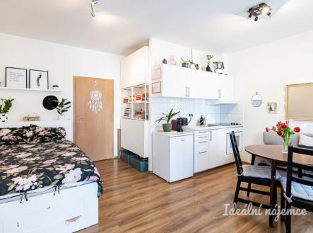 Pronájem bytu, 1+kk, 28 m²