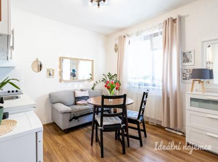 Pronájem bytu, 1+kk, 28 m²