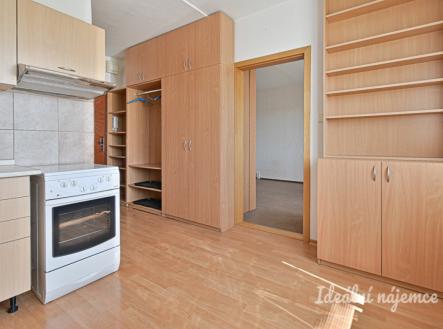 Pronájem bytu, 1+1, 31 m²