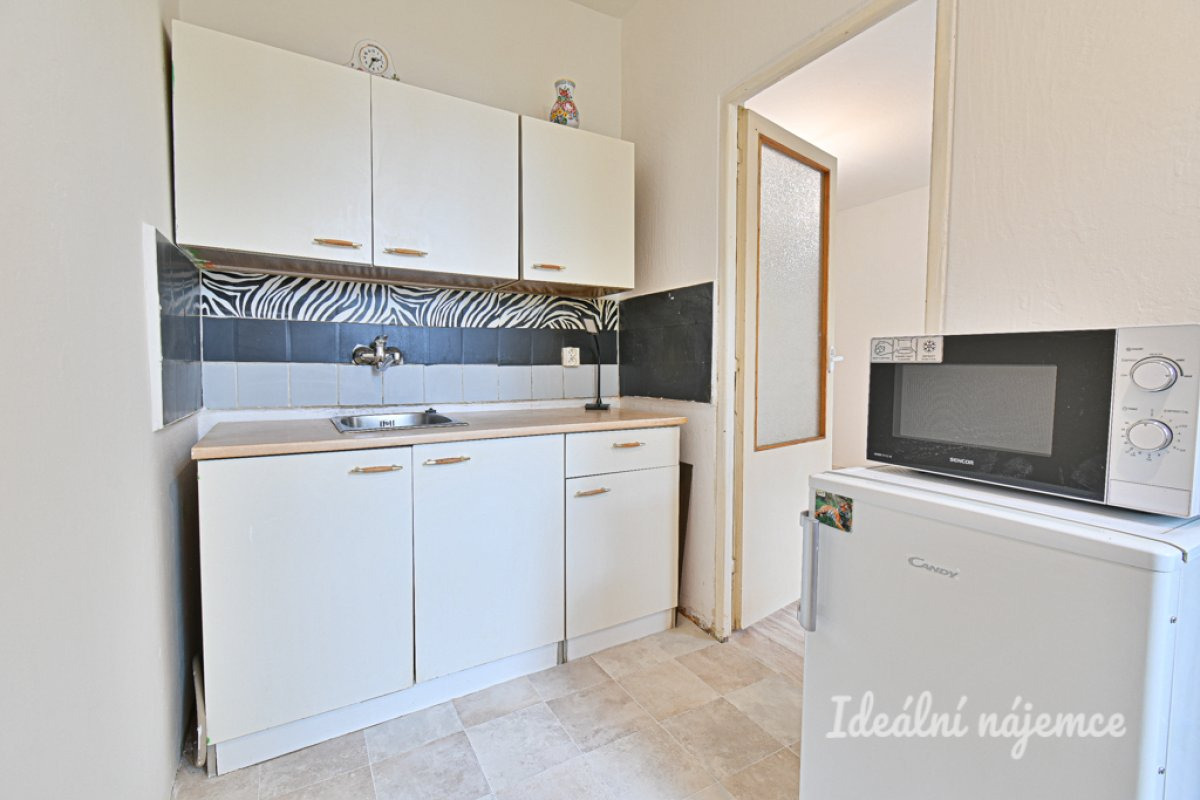Pronájem bytu 1+1, Halasovo náměstí, Lesná, 13 500 Kč/měs, 29 m2