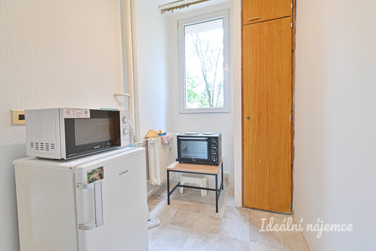 Pronájem bytu 1+1, Halasovo náměstí, Lesná, 13 500 Kč/měs, 29 m2