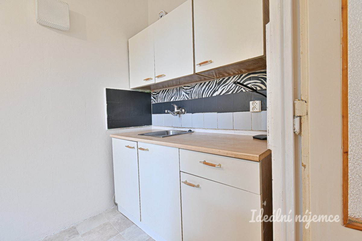 Pronájem bytu 1+1, Halasovo náměstí, Lesná, 13 500 Kč/měs, 29 m2