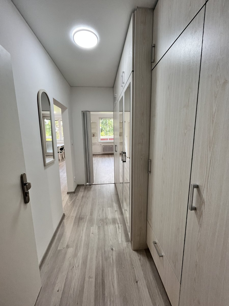 Pronájem bytu 3+1, Pionýrská, Nová Ulice, 19 500Kč/měs, 63 m2