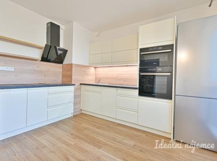 Pronájem bytu, 1+1, 44 m² obrázek