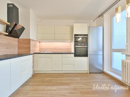 Pronájem bytu, 1+1, 44 m²