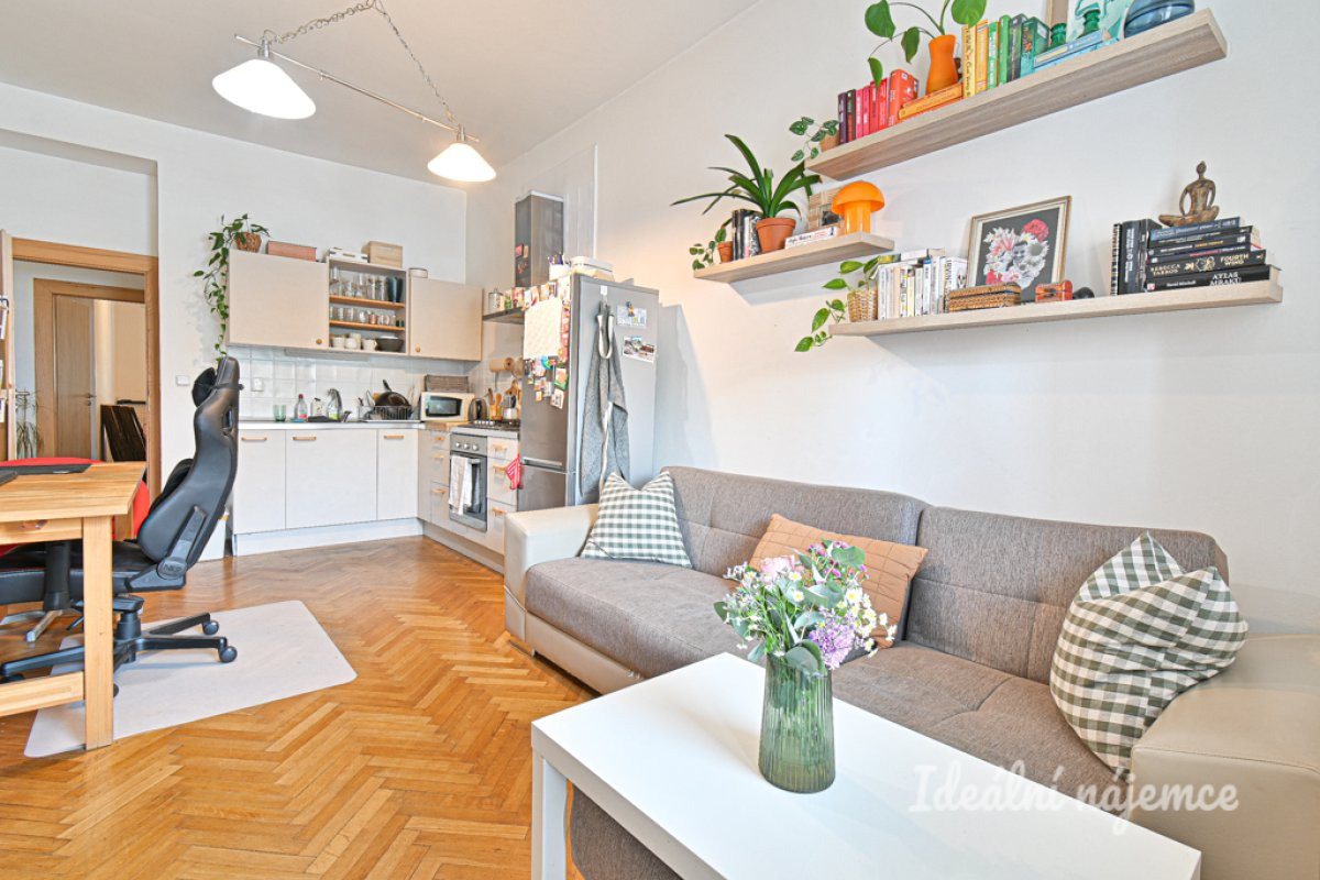 Pronájem bytu 2+kk, Příkop, Zábrdovice, 44 m2