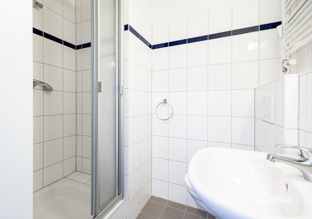 Pronájem bytu 1+kk, Děčínská, Střížkov, 23 m2