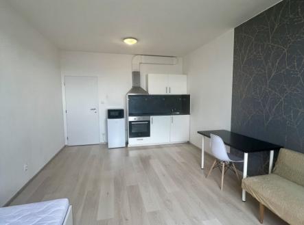 Pronájem bytu, 1+kk, 28 m² obrázek