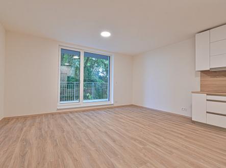 Pronájem bytu, 1+kk, 43 m²