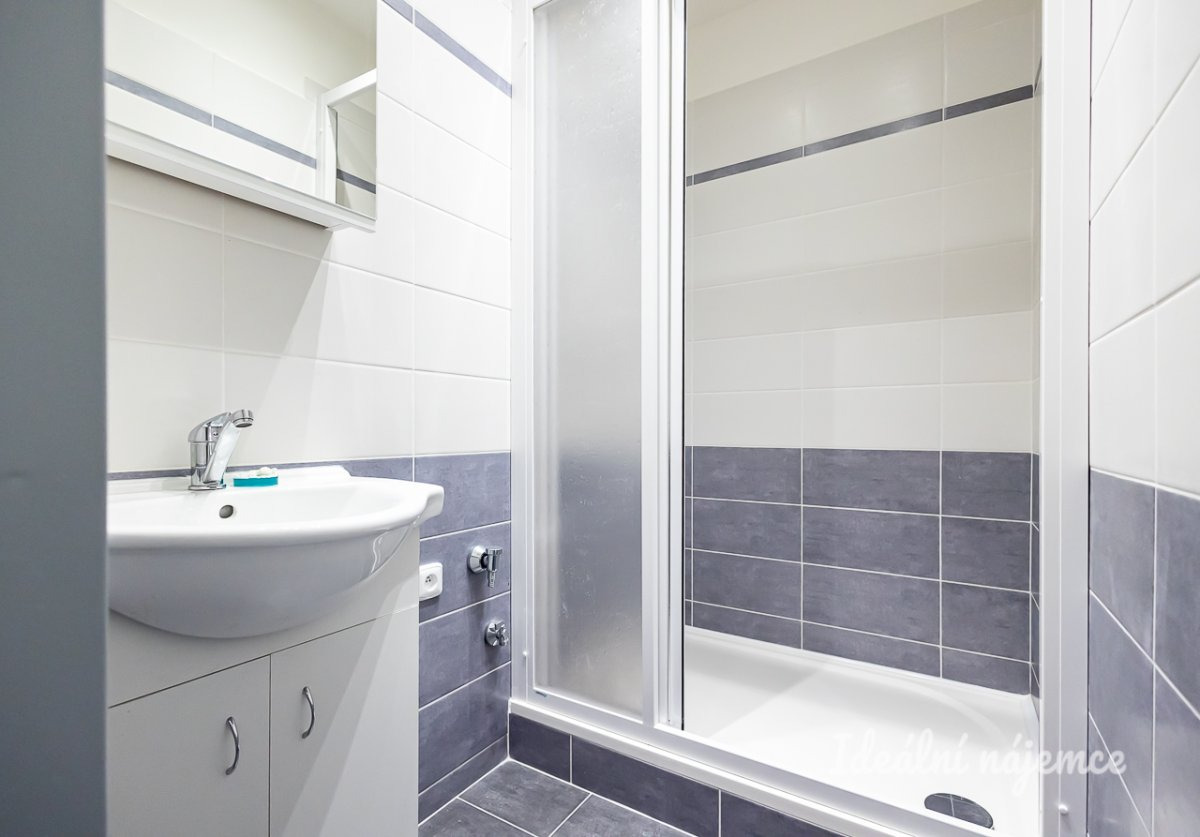 Podnájem bytu 1+kk, Benkova, Chodov,   29 m2