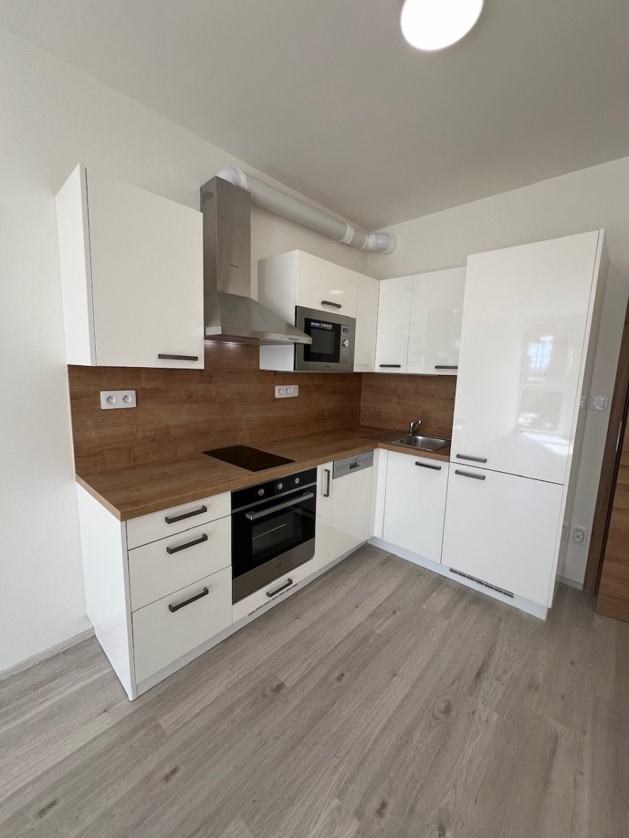 Pronájem bytu 1+kk, Goldscheiderova, Plzeň,  13000,- Kč/měs, 29 m2