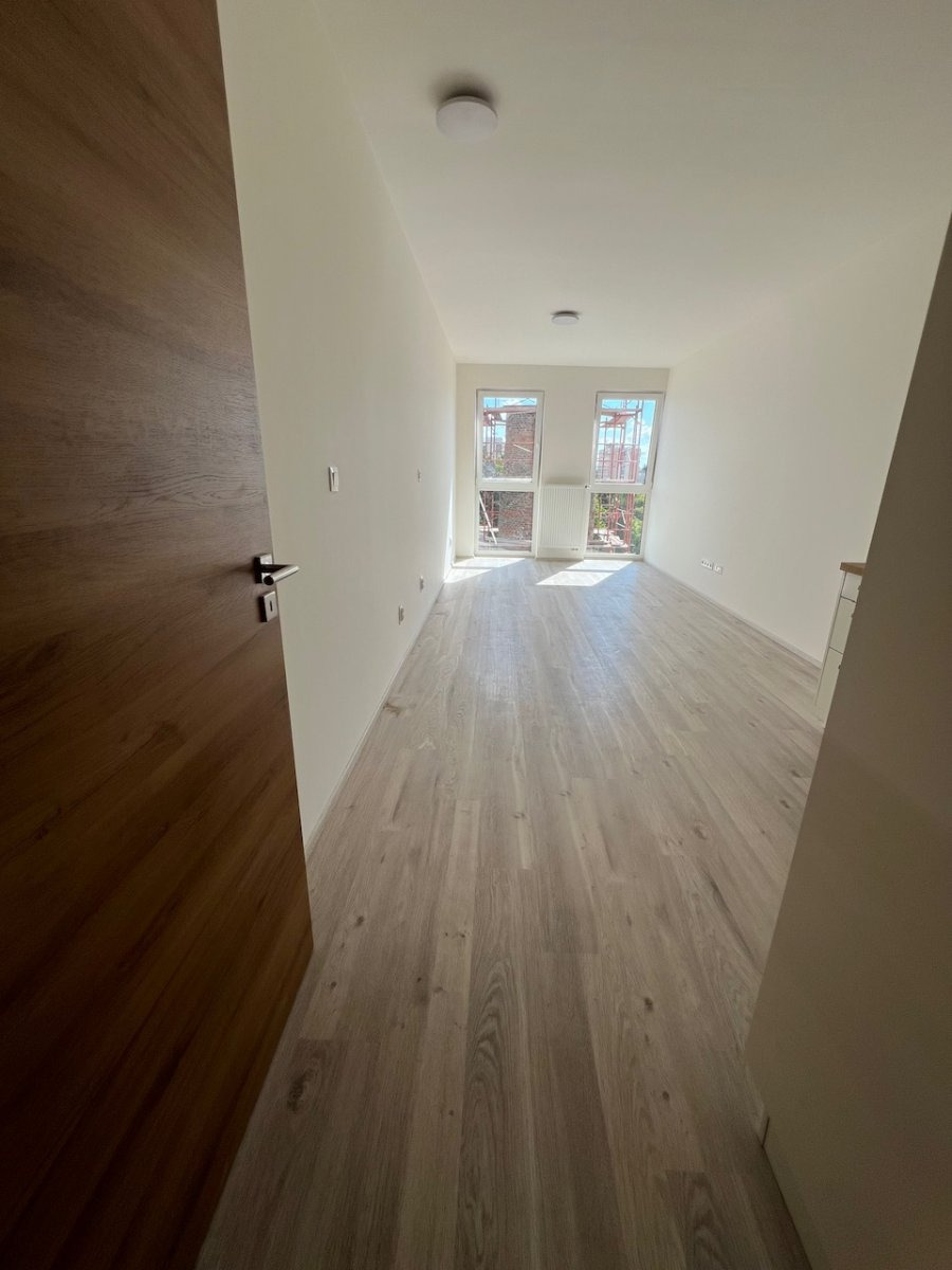 Pronájem bytu 1+kk, Goldscheiderova, Plzeň,  13000,- Kč/měs, 29 m2