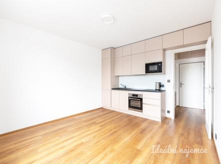 Pronájem bytu, 1+kk, 26 m²