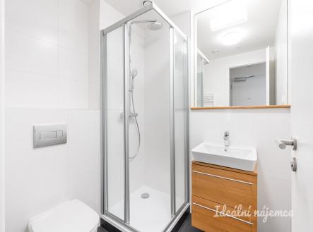 Pronájem bytu, 1+kk, 17 m²