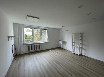 Pronájem bytu, 2+kk, 45 m²