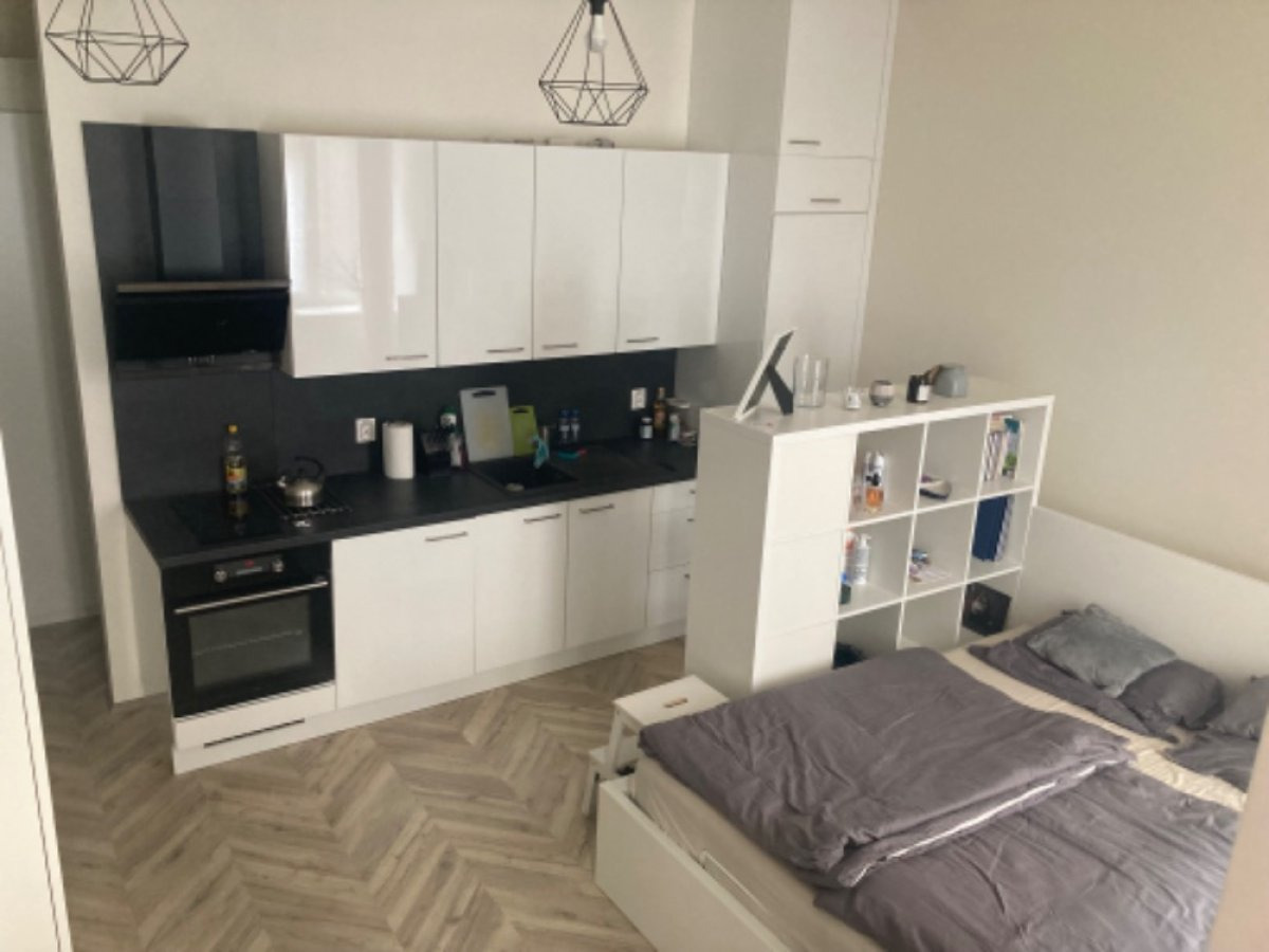 Pronájem bytu 1+kk, Vlhká, Zábrdovice, 12500 Kč/měs, 27 m2