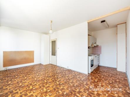 Pronájem bytu, 1+kk, 36 m²