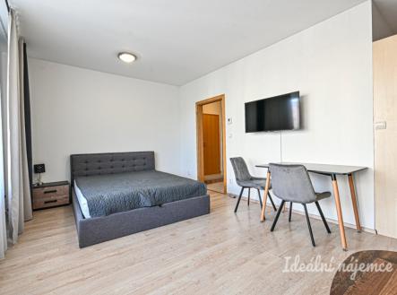 Pronájem bytu, 1+kk, 37 m²