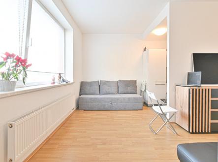 Pronájem bytu, 1+kk, 48 m²