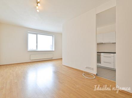 Pronájem bytu, 1+kk, 48 m²