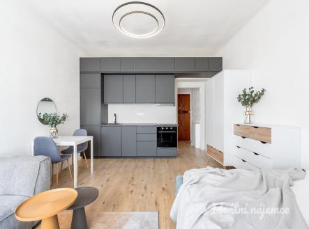 Pronájem bytu, 1+kk, 28 m²