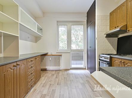 Pronájem bytu, 2+1, 54 m²