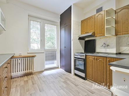 Pronájem bytu, 2+1, 54 m²