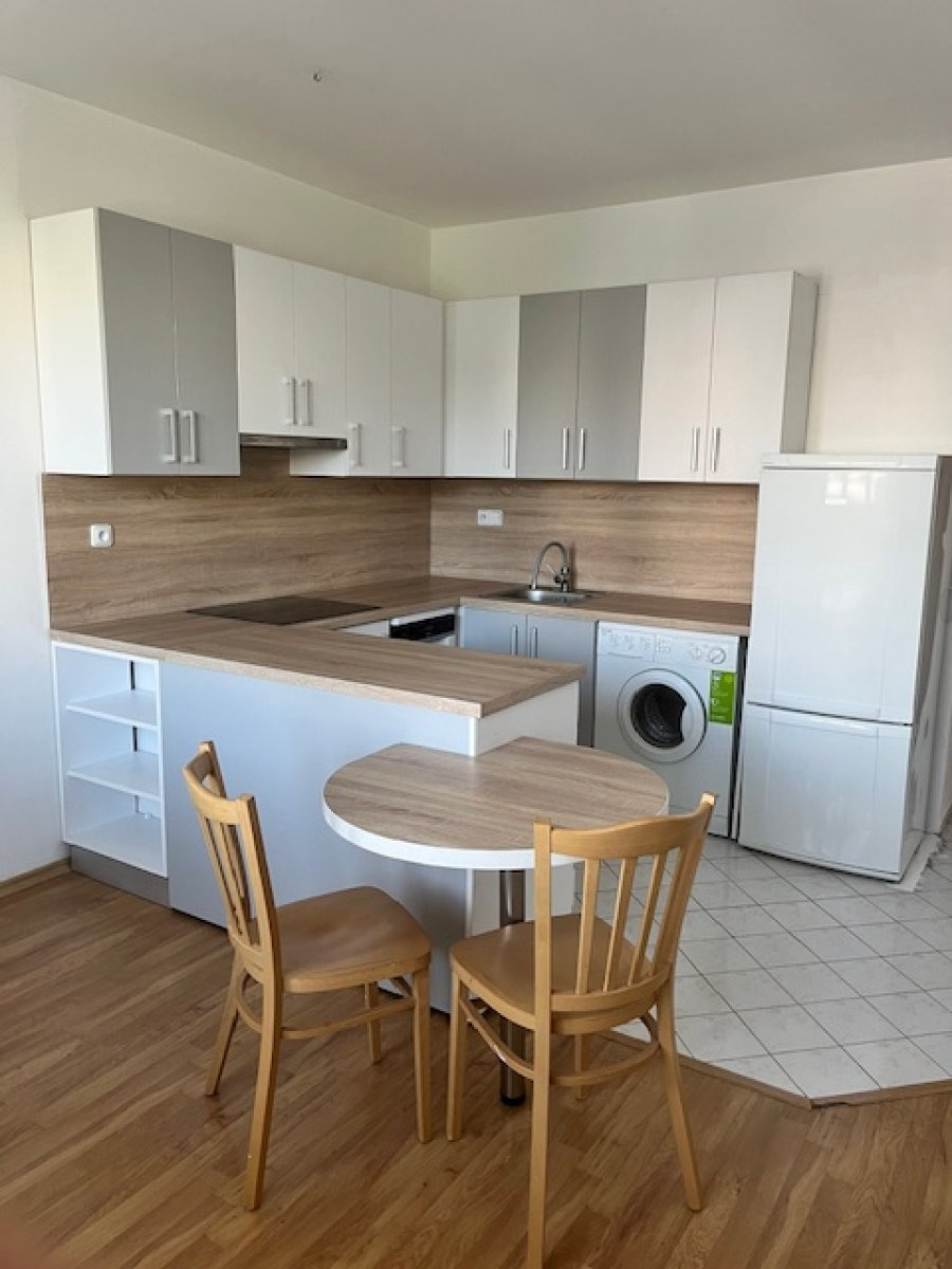 Pronájem bytu 1+1, Durychova, Nový Hradec Králové, 12500 Kč/měs, 46 m2