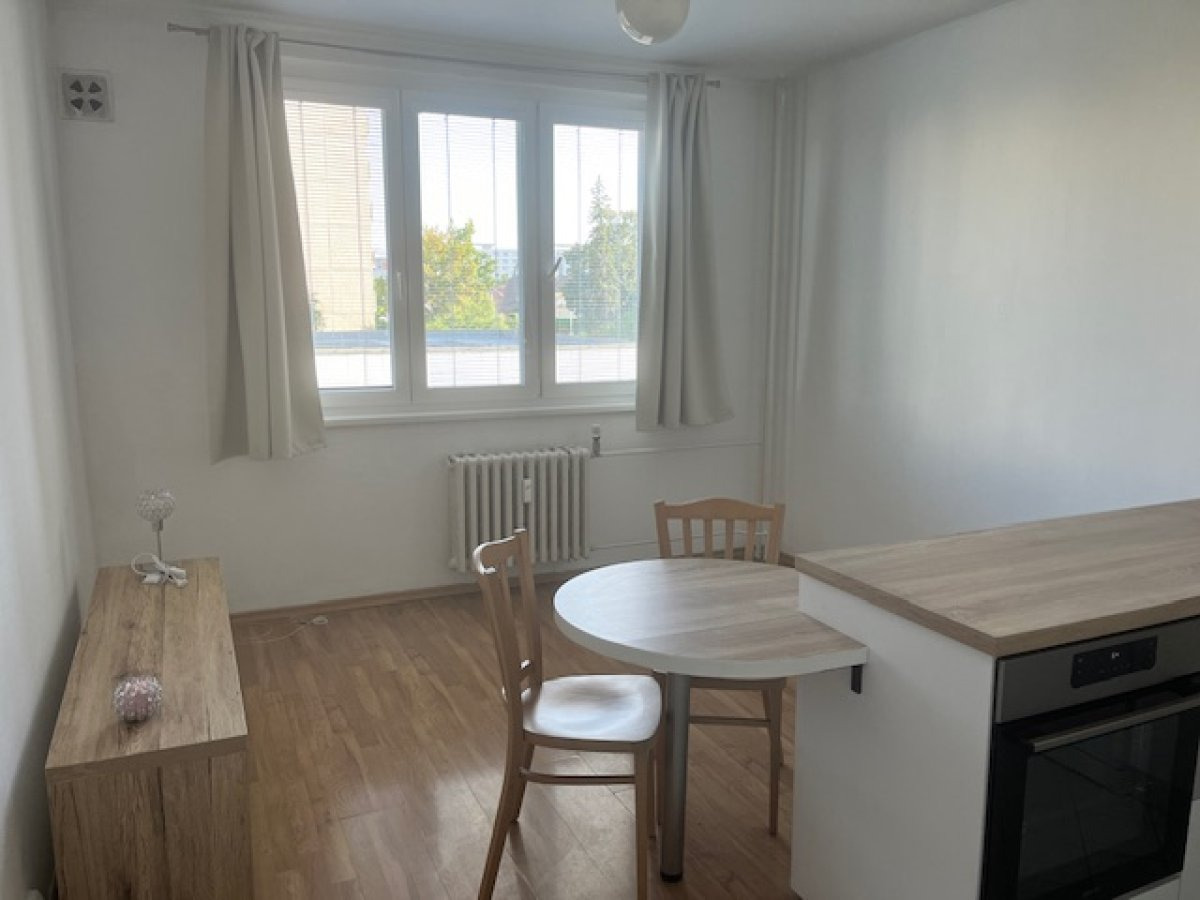 Pronájem bytu 1+1, Durychova, Nový Hradec Králové, 12500 Kč/měs, 46 m2