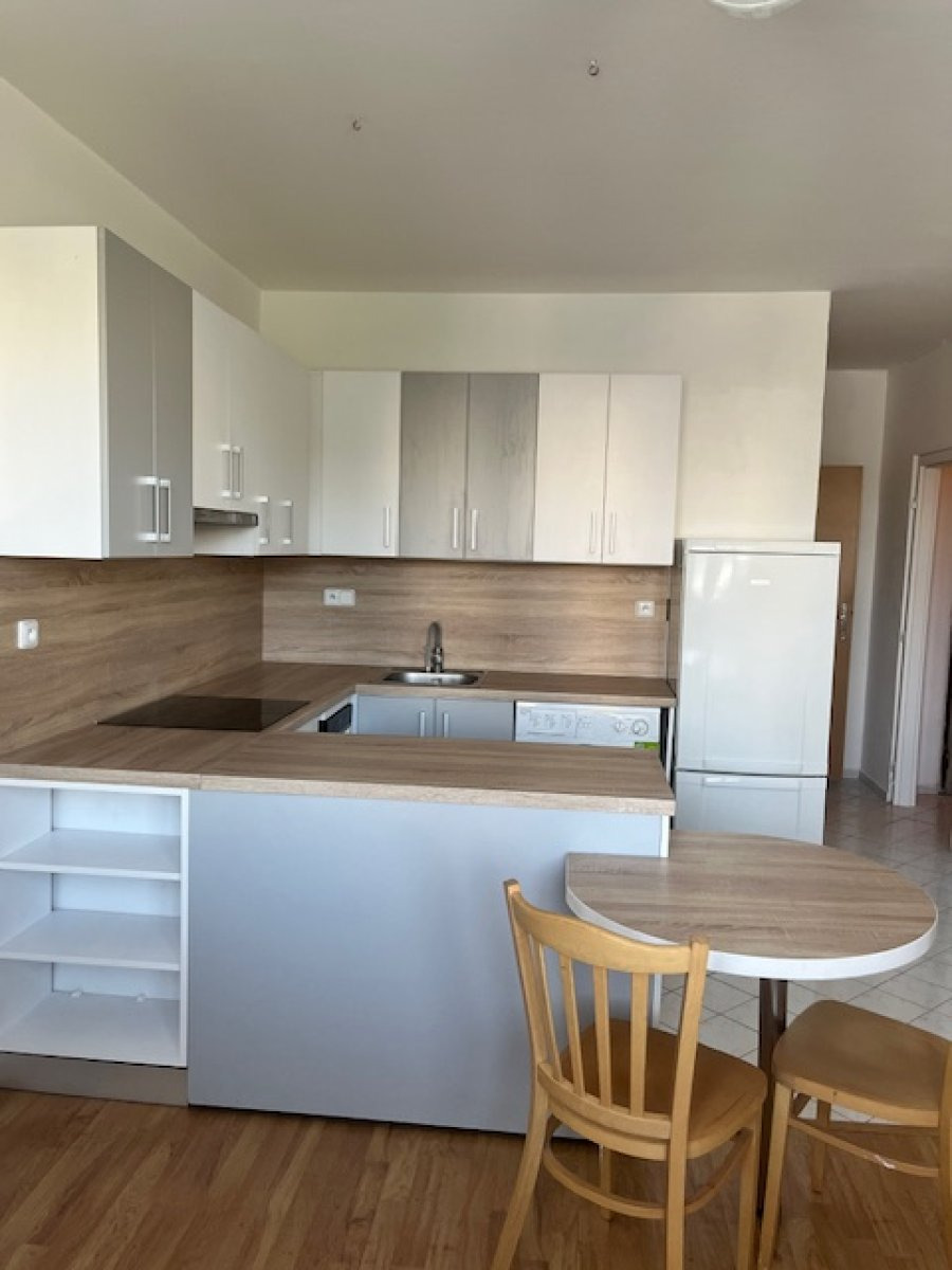 Pronájem bytu 1+1, Durychova, Nový Hradec Králové, 12500 Kč/měs, 46 m2