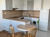 Pronájem bytu, 1+1, 46 m²