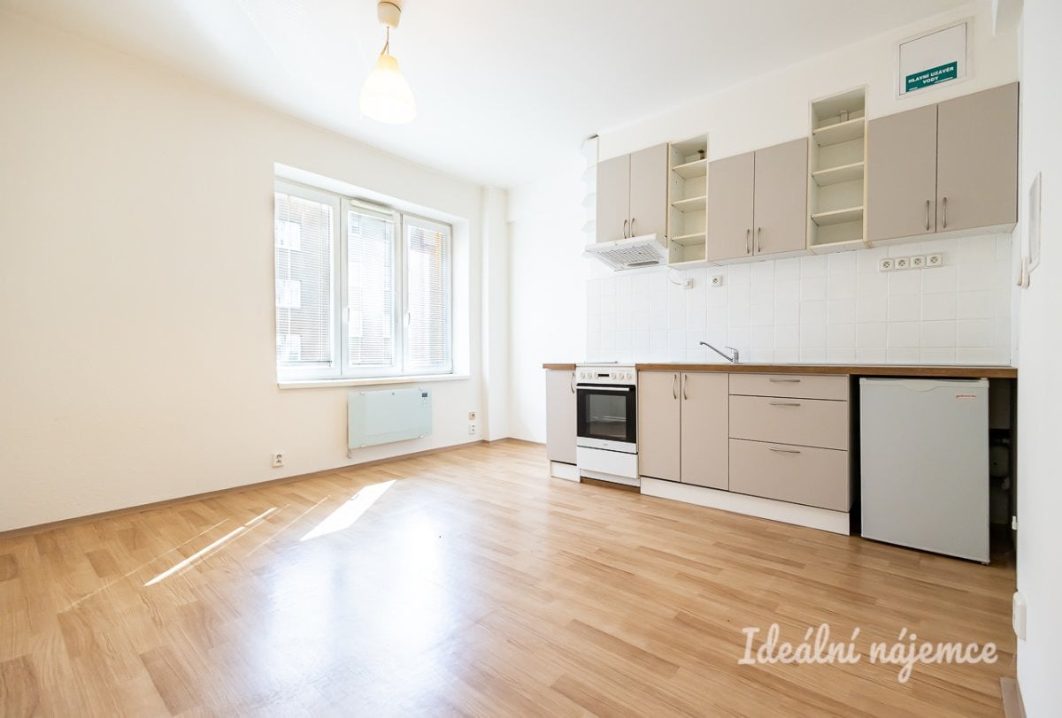 Pronájem bytu 2+kk, Jeseniova, Žižkov, 39 m2