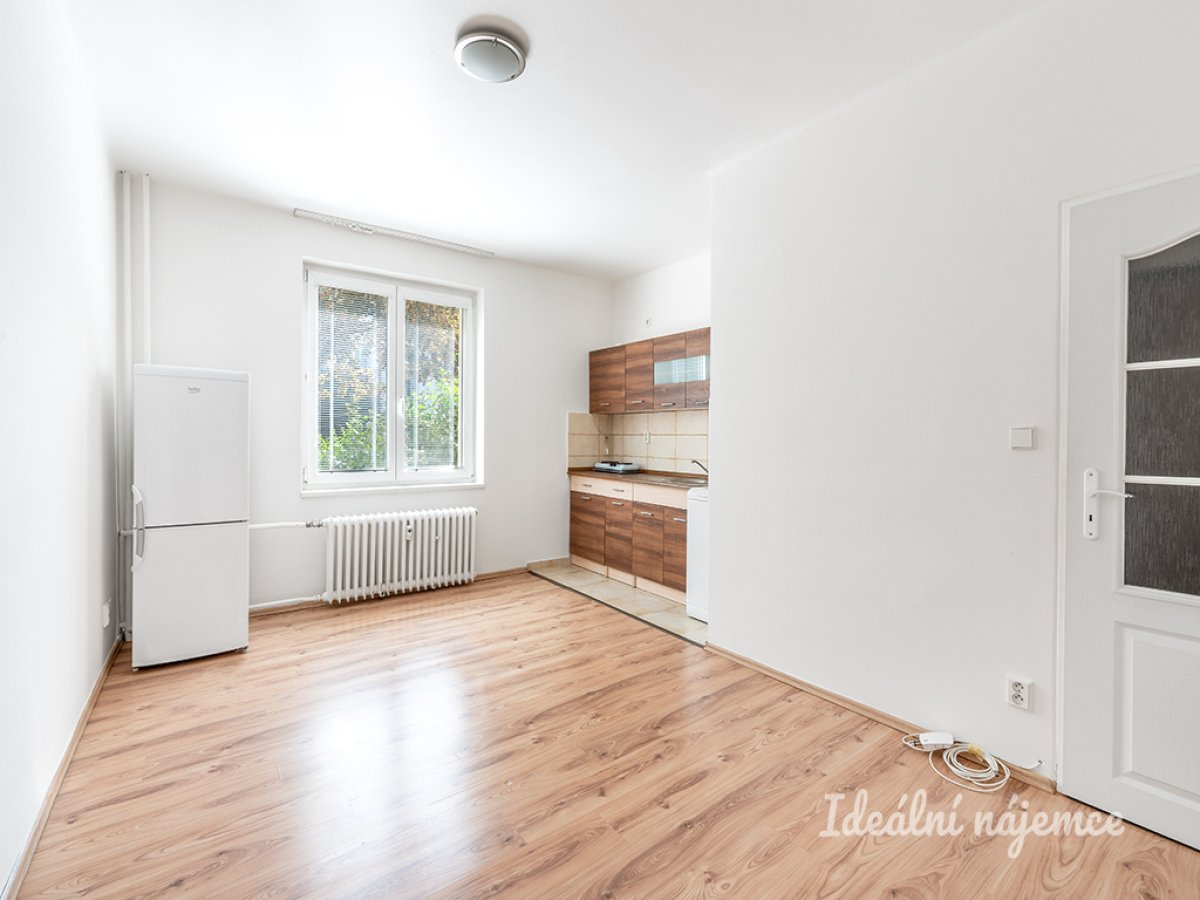 Pronájem bytu 1+kk, Púchovská, Záběhlice, 13 000 Kč/měs, 20 m2