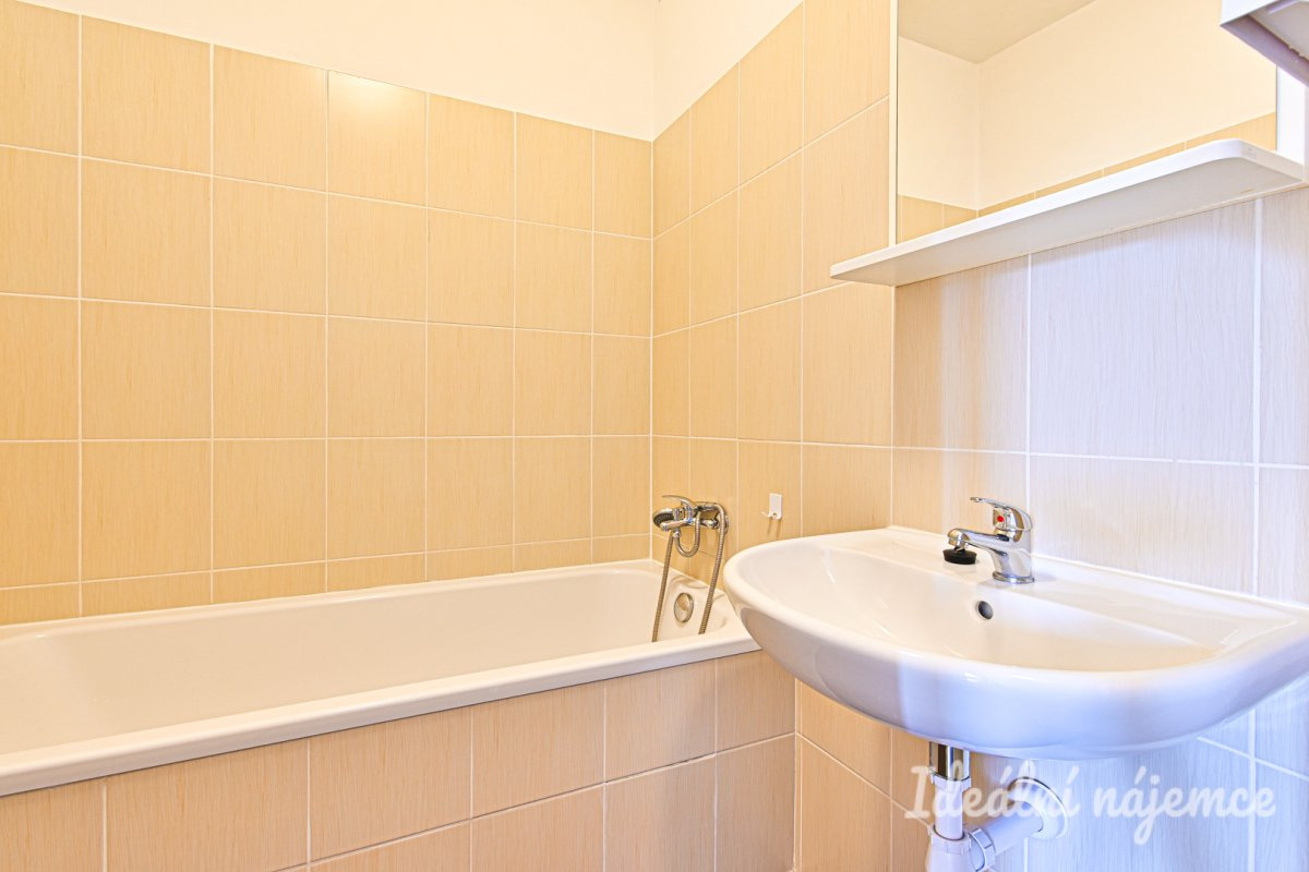 Pronájem bytu 2+1, Výstavní, Staré Brno, 21 000 Kč/měs, 59 m2