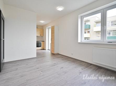 Pronájem bytu, 1+kk, 33 m²