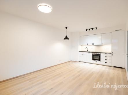 Pronájem bytu, 2+kk, 46 m²