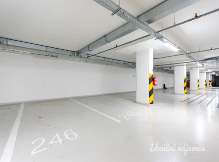 Pronájem bytu, 2+kk, 56 m²