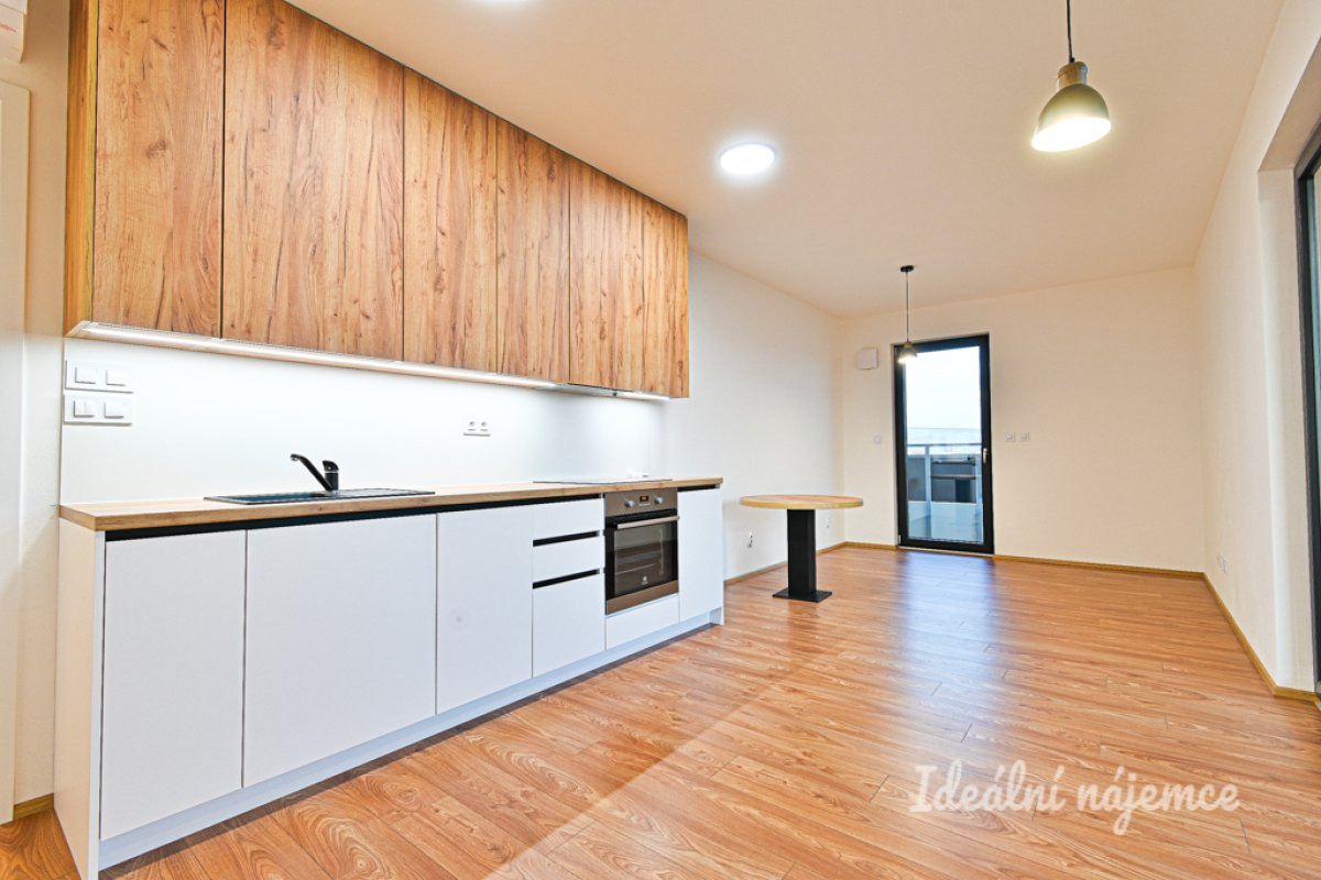 Pronájem bytu 1+kk, Bratislavská, Zábrdovice, 60 m2