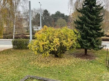 Pronájem bytu, 3+1, 72 m²