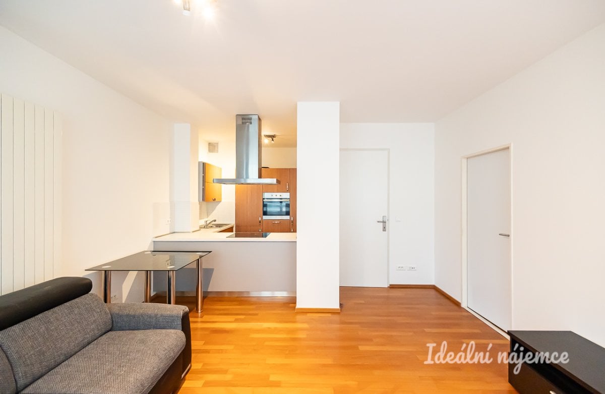 Pronájem bytu 3+kk, Šaldova, Karlín, 32900 Kč/měs, 68 m2