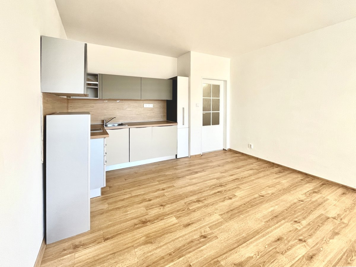 Pronájem bytu 1+kk, Jeronýmova, Horní Růžodol, 10600 Kč/měs, 30 m2