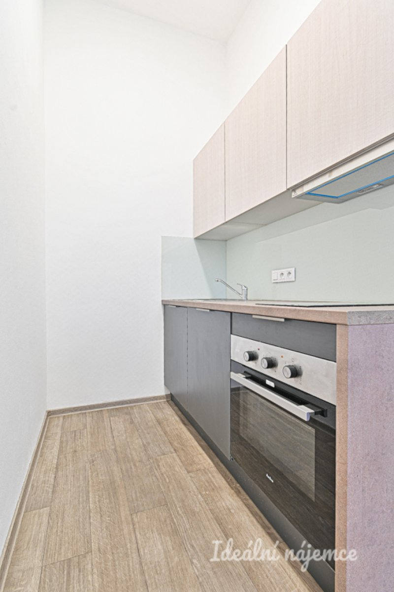 Pronájem bytu 1+kk, Bašty, Město Brno, 16500 Kč/měs, 39 m2