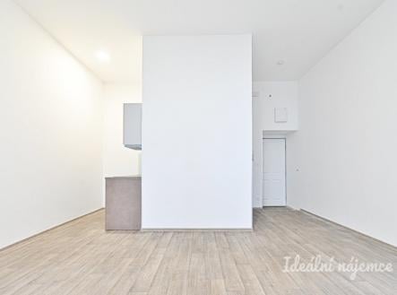 Pronájem bytu, 1+kk, 39 m²