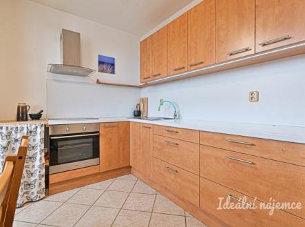 Pronájem bytu, 1+1, 45 m² obrázek