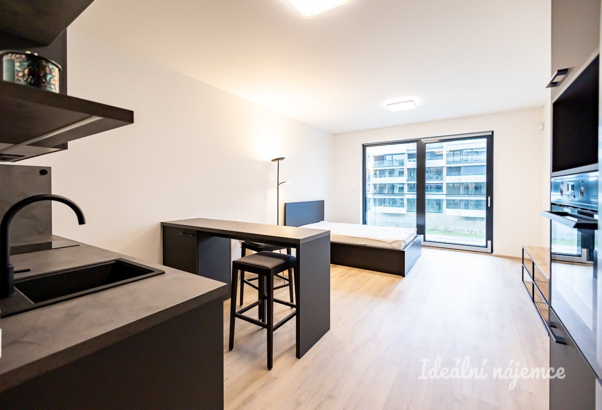 Pronájem bytu 1+kk, Šrámkové, Žižkov, 20900 Kč/měs, 36 m2